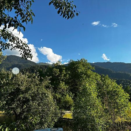 Ecohouse Svaneti 梅斯蒂亚 外观 照片