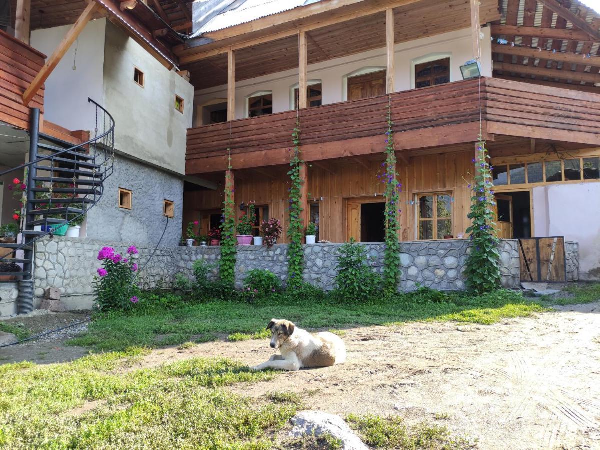 Ecohouse Svaneti 梅斯蒂亚 外观 照片