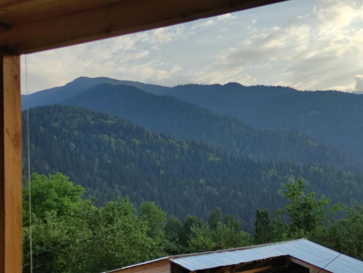 Ecohouse Svaneti 梅斯蒂亚 外观 照片