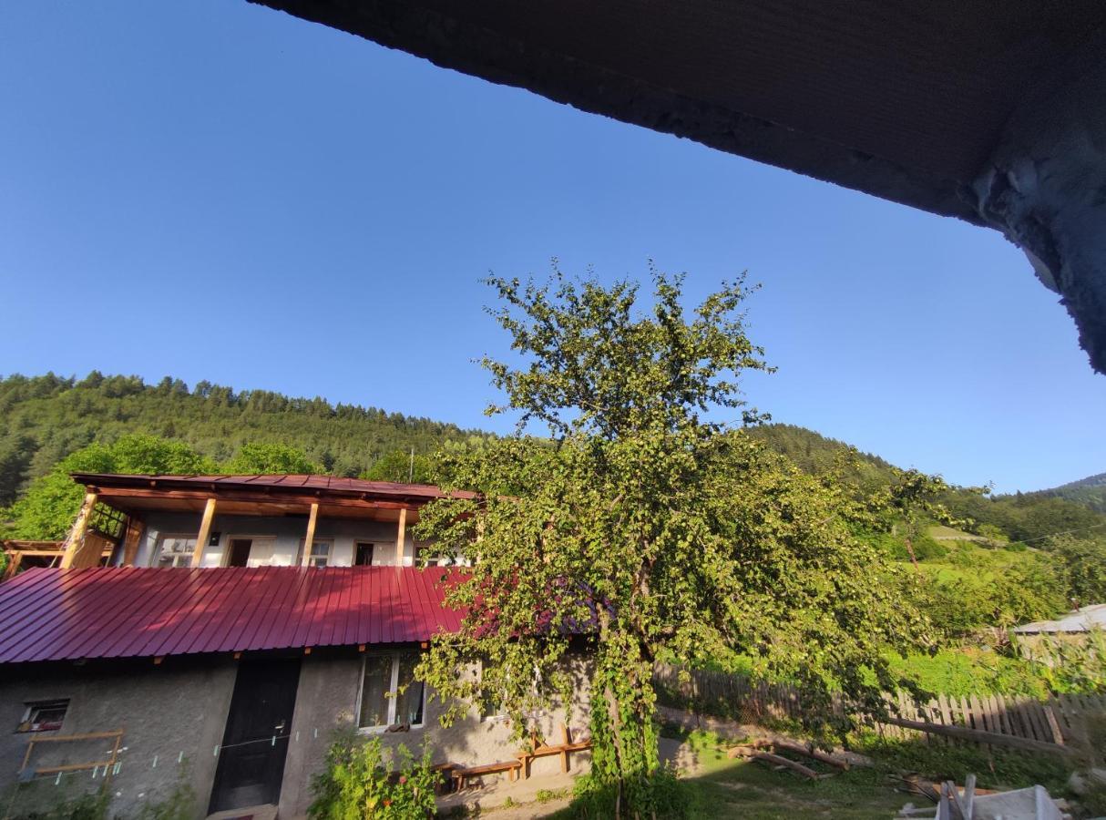 Ecohouse Svaneti 梅斯蒂亚 外观 照片