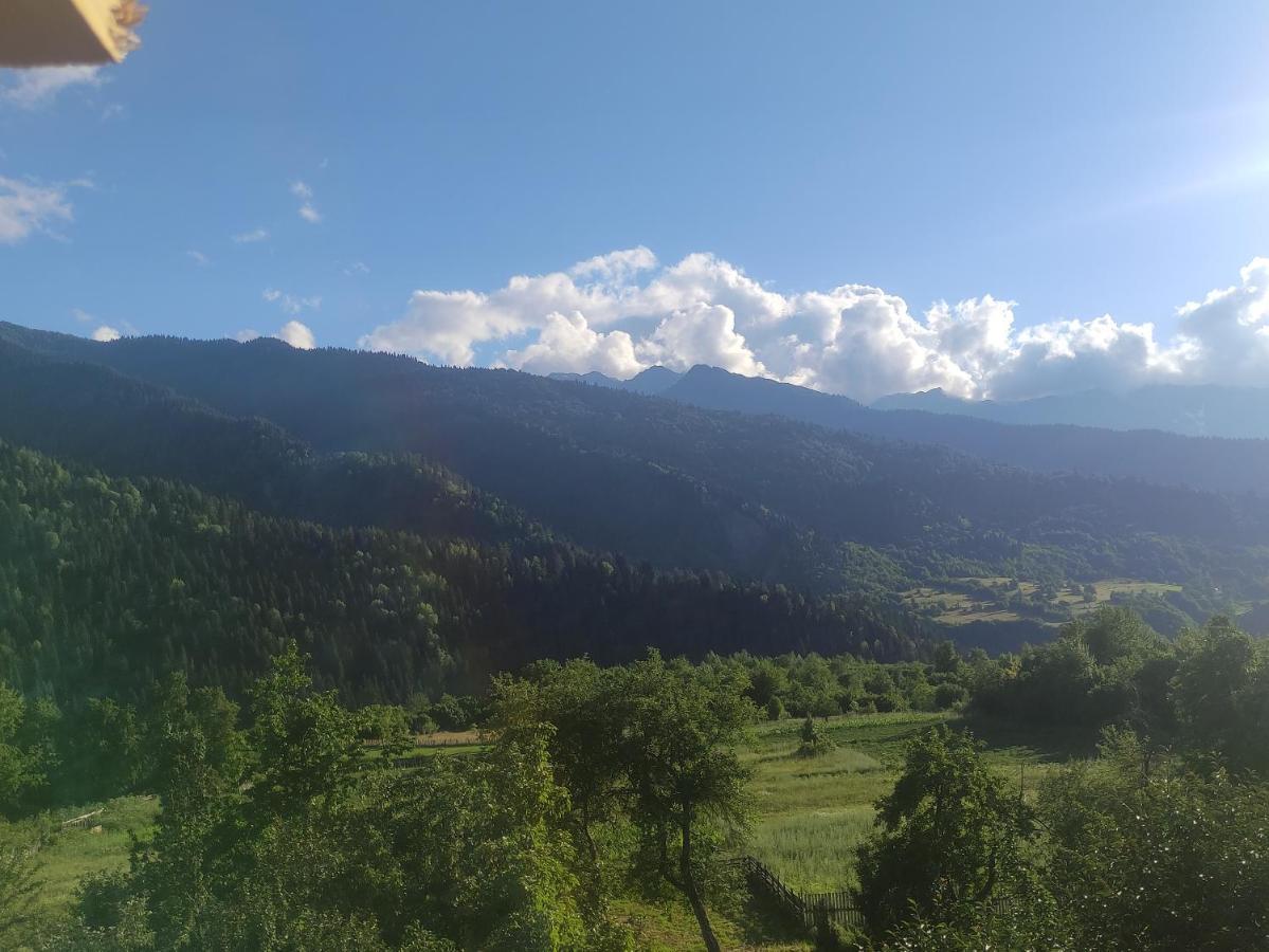 Ecohouse Svaneti 梅斯蒂亚 外观 照片