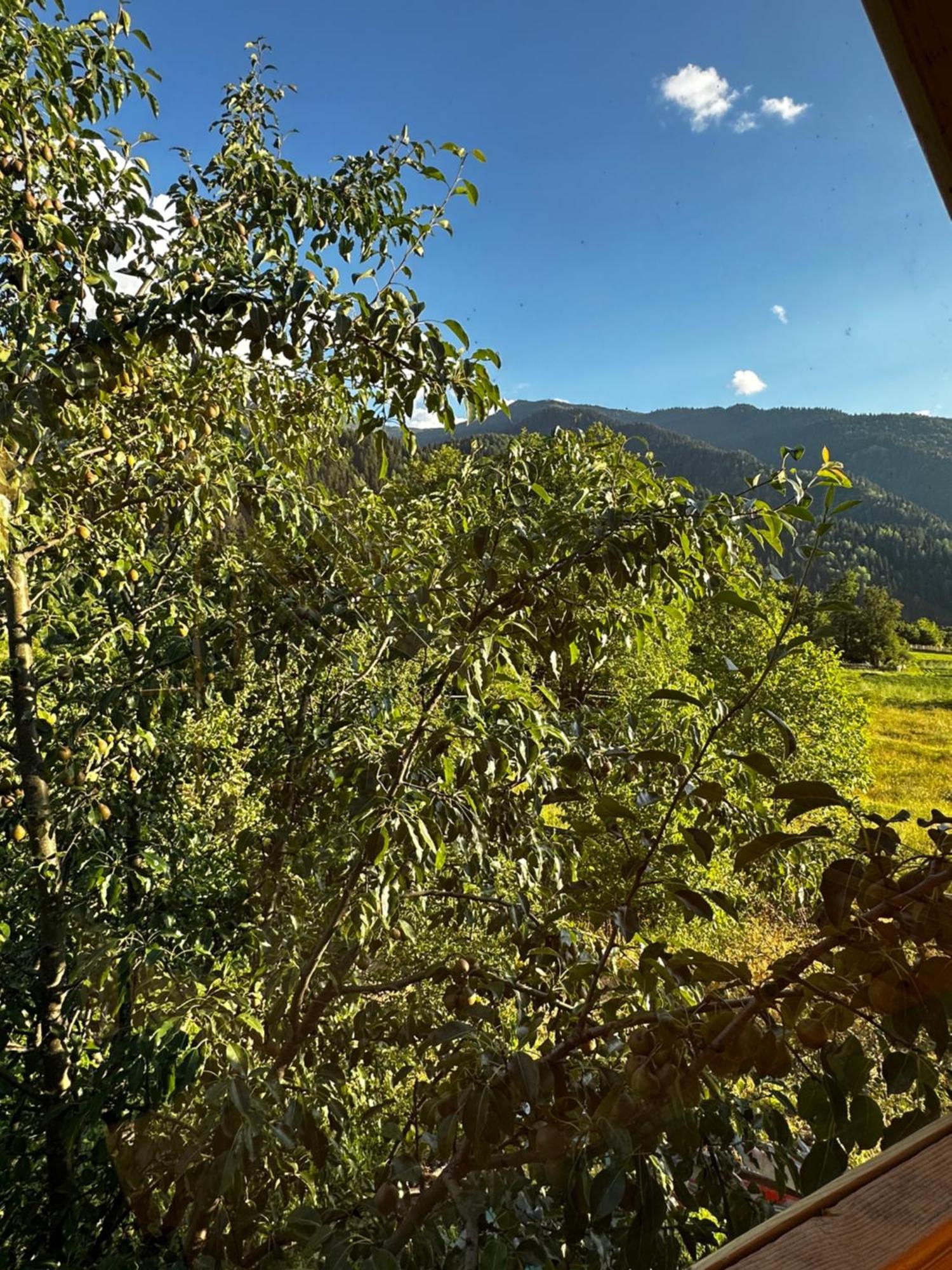 Ecohouse Svaneti 梅斯蒂亚 外观 照片