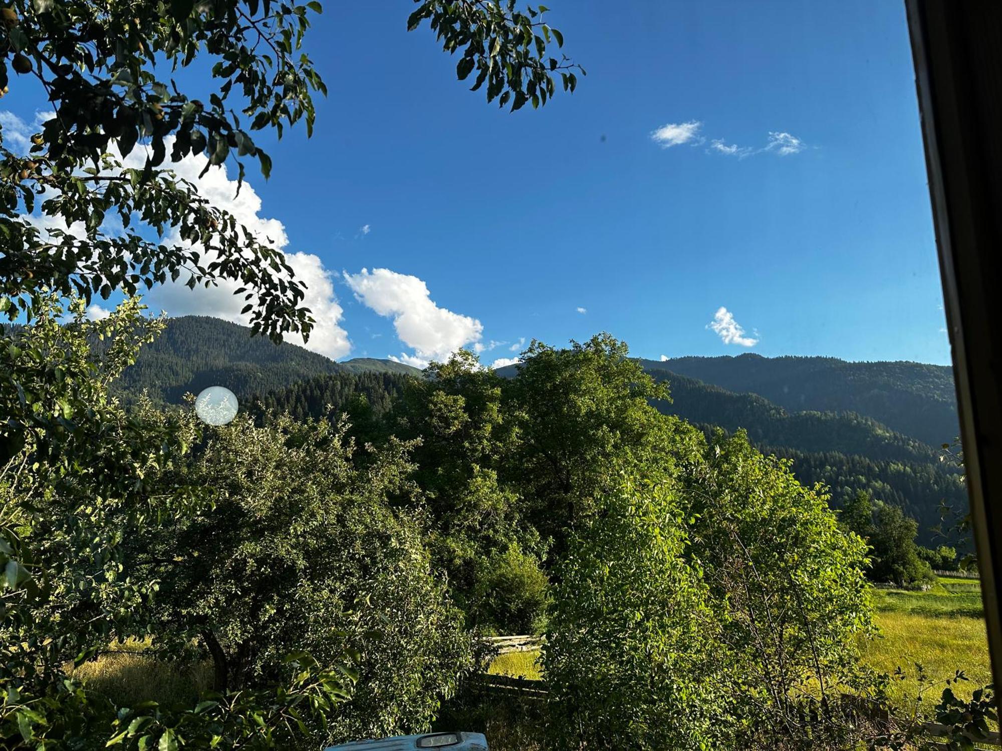Ecohouse Svaneti 梅斯蒂亚 外观 照片