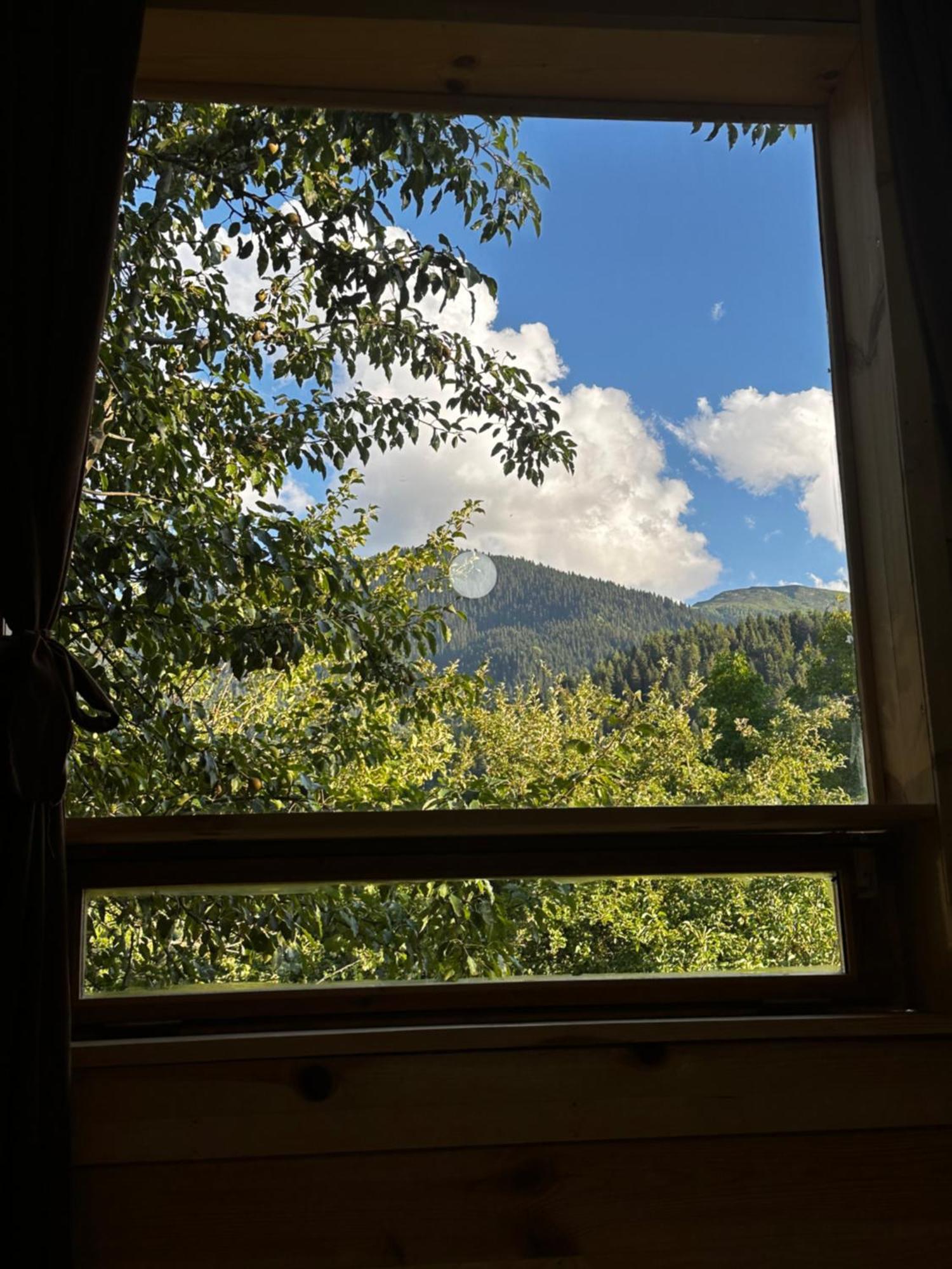 Ecohouse Svaneti 梅斯蒂亚 外观 照片