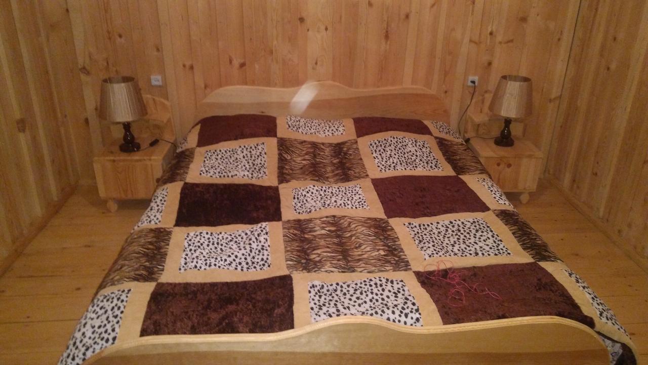 Ecohouse Svaneti 梅斯蒂亚 外观 照片