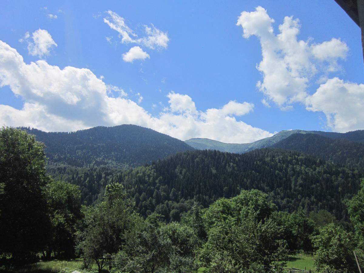 Ecohouse Svaneti 梅斯蒂亚 外观 照片