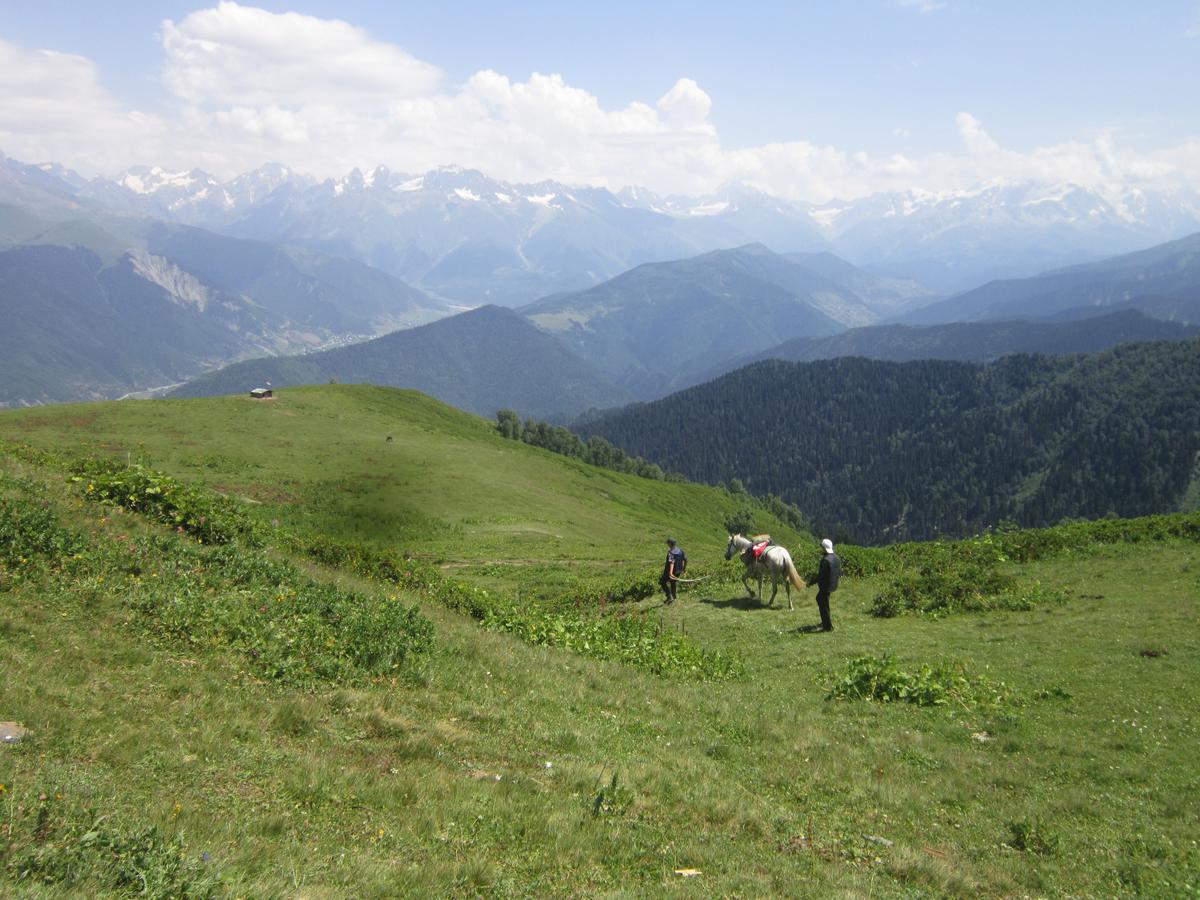 Ecohouse Svaneti 梅斯蒂亚 外观 照片