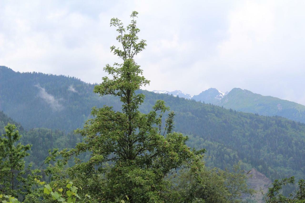 Ecohouse Svaneti 梅斯蒂亚 外观 照片