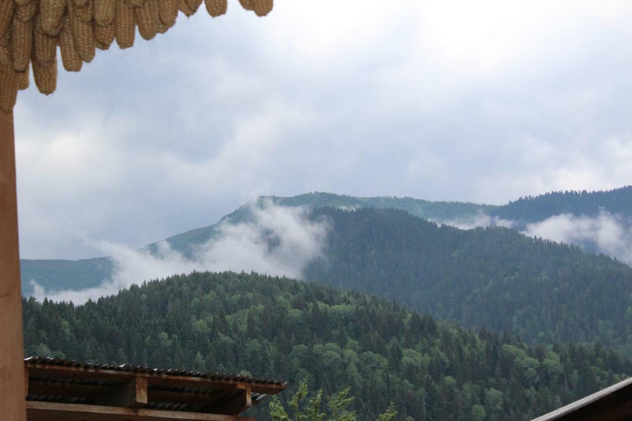 Ecohouse Svaneti 梅斯蒂亚 外观 照片